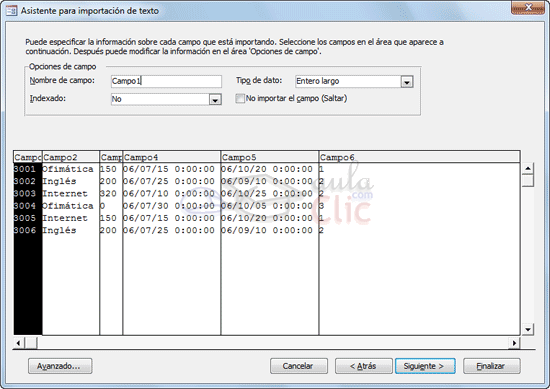 Asistente para importaci&oacute;n de texto - Elegir nombre de campos, tipo de datos, etc.