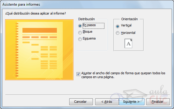 Ventana Asistente para informes, elegir distribuci&oacute;n de los datos