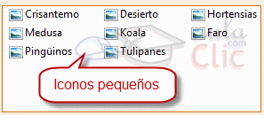 Vista iconos pequeños