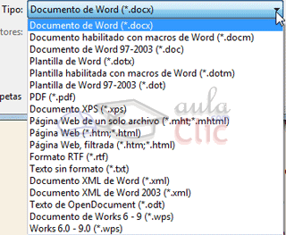 Tipo de archivo